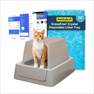 PETSAFE ScoopFree Crystal Smart Self-Cleaning Cat Litter Box, Front Entry - Chewy.com