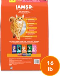 Iams ProActive Health Salmon Recipe Adult Dry Cat Food, 16-lb bag slide 2 of 9