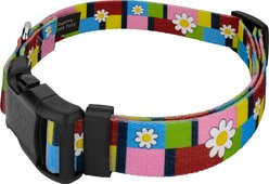 Country Brook Petz Spring Daisies Everyday Polyester Dog Collar, Multicolor, Medium: 13 to 16-in neck, 1-in wide slide 2 of 5
