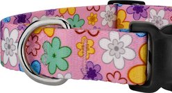 Country Brook Petz May Flowers Everyday Polyester Dog Collar, Multicolor, X-Small: 9 to 11-in neck, 1/2-in wide slide 2 of 5