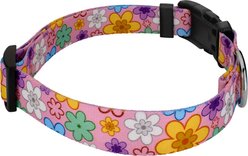 Country Brook Petz May Flowers Everyday Polyester Dog Collar, Multicolor, Large: 16 to 22-in neck, 1-in wide slide 2 of 5