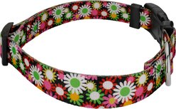 Country Brook Petz Daisy Fields Everyday Polyester Dog Collar, Multicolor, Large: 16 to 22-in neck, 1-in wide slide 2 of 7
