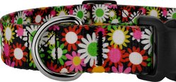 Country Brook Petz Daisy Fields Everyday Polyester Dog Collar, Multicolor, Medium: 13 to 16-in neck, 1-in wide slide 2 of 7