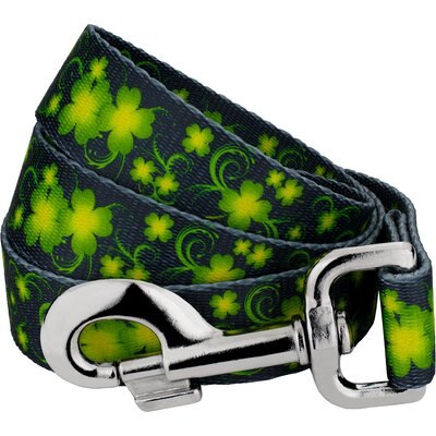 Country Brook Petz Country Brook Petz Clovers In The Wind Everyday Dog Leash, Green, Large: 4-ft long, 1-in wide