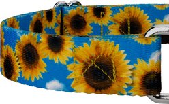 Country Brook Petz Sunflowers Polyester Martingale Dog Collar, Yellow, X-Small: 9 to 12-in neck, 1/2-in wide slide 2 of 7