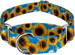 Country Brook Petz Sunflowers Polyester Martingale Dog Collar, Yellow, X-Small: 9 to 12-in neck, 1/2-in wide