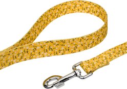 Country Brook Petz Spring Cottagecore Everyday Dog Leash, Yellow, Large: 6-ft long, 1-in wide slide 2 of 4