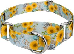 Country Brook Petz Sunny Days Polyester Martingale Dog Collar, Blue, XX-Small: 7 to 10-in neck, 1/2-in wide
