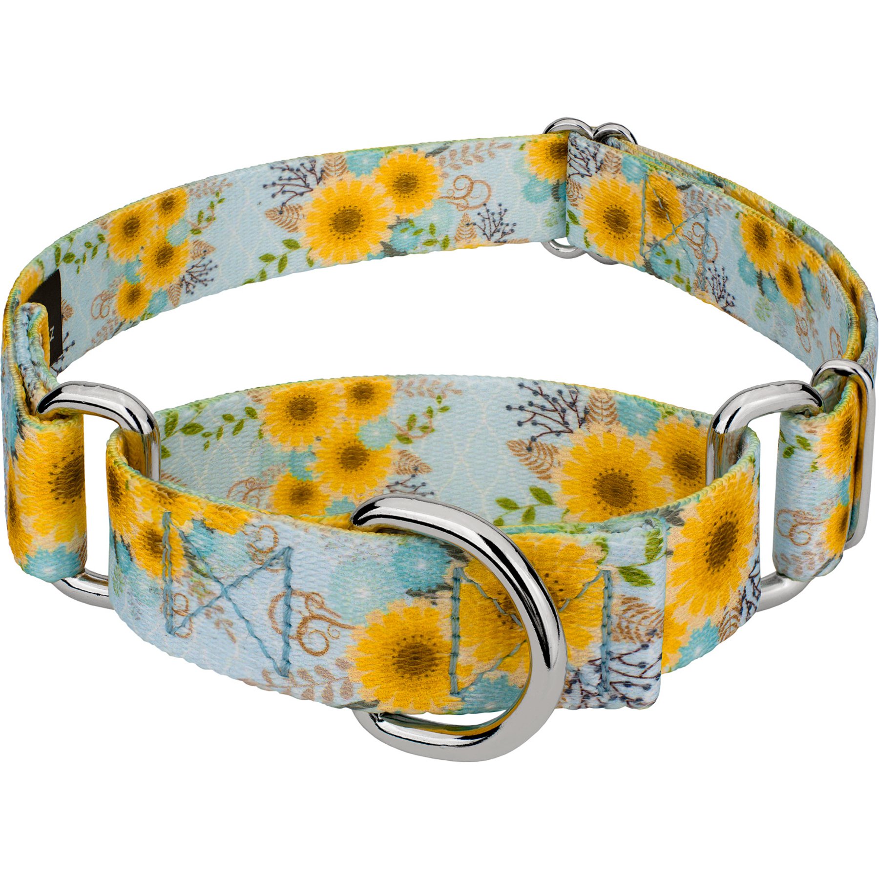 Country Brook Petz Sunny Days Polyester Martingale Dog Collar, Blue, Medium: 15 to 21-in neck, 1-in wide
