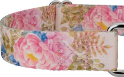 Country Brook Petz Watercolor Peonies Polyester Martingale Dog Collar, Pink, Small: 11 to 15-in neck, 5/8-in wide slide 2 of 5