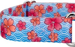 Country Brook Petz Pink April Blossoms Polyester Martingale Dog Collar, Blue, Small: 11 to 15-in neck, 5/8-in wide slide 2 of 7