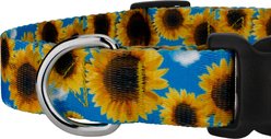 Country Brook Petz Sunflowers Everyday Polyester Dog Collar, Yellow, Medium: 13 to 16-in neck, 1-in wide slide 2 of 7