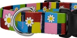 Country Brook Petz Spring Daisies Everyday Polyester Dog Collar, Multicolor, X-Large: 18 to 26-in neck, 1-in wide slide 2 of 5