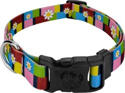 Country Brook Petz Spring Daisies Everyday Polyester Dog Collar, Multicolor, Medium: 13 to 16-in neck, 1-in wide