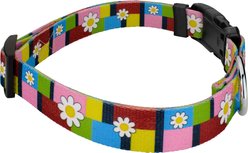Country Brook Petz Spring Daisies Everyday Polyester Dog Collar, Multicolor, Small: 11 to 13-in neck, 5/8-in wide slide 2 of 5