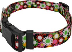 Country Brook Petz Daisy Fields Everyday Polyester Dog Collar, Multicolor, Small: 11 to 13-in neck, 5/8-in wide slide 2 of 7