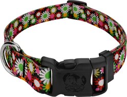 Country Brook Petz Daisy Fields Everyday Polyester Dog Collar, Multicolor, Small: 11 to 13-in neck, 5/8-in wide