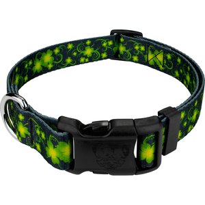 COUNTRY BROOK PETZ Everyday Nylon Dog Collar, Black, Medium: 13 to