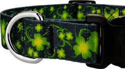 Country Brook Petz Everyday Clovers In The Wind Polyester Dog Collar, Green, Large: 16 to 22-in neck, 1-in wide slide 2 of 5