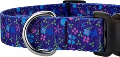Country Brook Petz Blueberry Fields Everyday Polyester Dog Collar, Blue, Small: 11 to 13-in neck, 5/8-in wide slide 2 of 5
