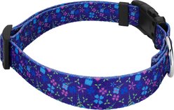 Country Brook Petz Blueberry Fields Everyday Polyester Dog Collar, Blue, Large: 16 to 22-in neck, 1-in wide slide 2 of 5