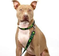 Country Brook Petz Clovers In The Wind Everyday Dog Leash, Green, Large: 6-ft long, 1-in wide slide 2 of 4