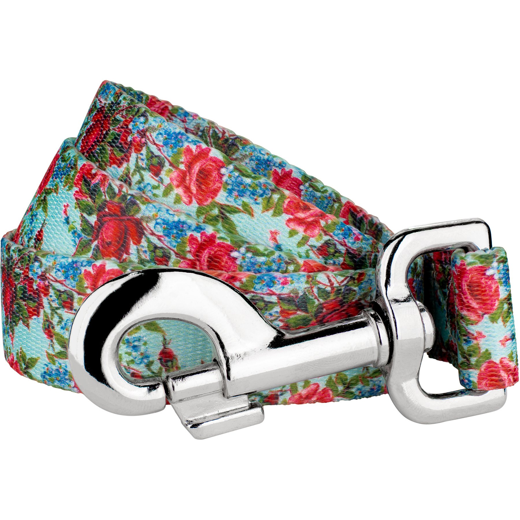 Country Brook Petz Vintage Roses Everyday Dog Leash, Red, Large: 6-ft long, 1-in wide