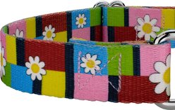 Country Brook Petz Spring Daisies Polyester Martingale Dog Collar, Multicolor, XX-Small: 7 to 10-in neck, 1/2-in wide slide 2 of 5