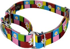 Country Brook Petz Spring Daisies Polyester Martingale Dog Collar, Multicolor, Medium: 15 to 21-in neck, 1-in wide slide 2 of 5