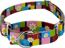 Country Brook Petz Spring Daisies Polyester Martingale Dog Collar, Multicolor, Small: 11 to 15-in neck, 5/8-in wide