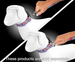 Country Brook Petz Pink April Blossoms Everyday Dog Leash, Blue, Medium: 4-ft long, 5/8-in wide slide 2 of 4