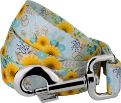 Country Brook Petz Sunny Days Everyday Dog Leash, Blue, Small: 6-ft long, 1/2-in wide