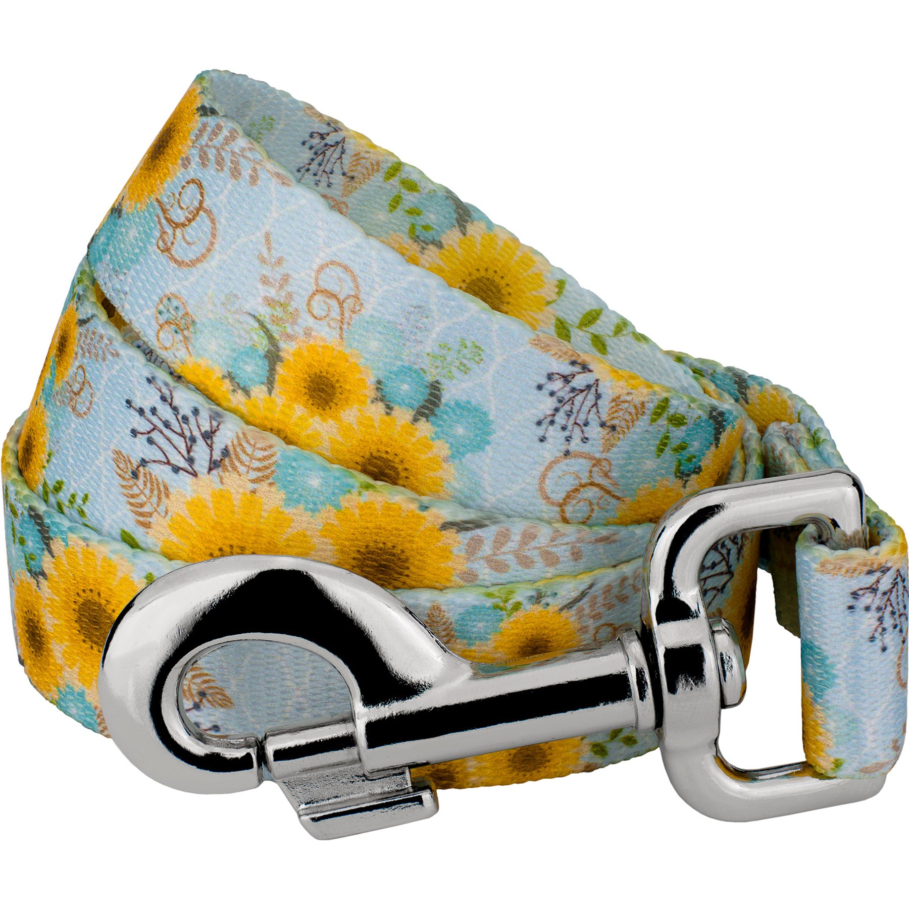Country Brook Petz Sunny Days Everyday Dog Leash, Blue, Medium: 4-ft long, 5/8-in wide