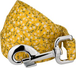 Country Brook Petz Spring Cottagecore Everyday Dog Leash, Yellow, Large: 4-ft long, 1-in wide
