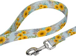 Country Brook Petz Sunny Days Everyday Dog Leash, Blue, Small: 6-ft long, 1/2-in wide slide 2 of 4