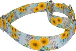 Country Brook Petz Sunny Days Polyester Martingale Dog Collar, Blue, Small: 11 to 15-in neck, 5/8-in wide slide 2 of 5
