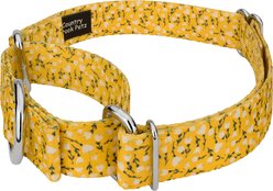 Country Brook Petz Spring Cottagecore Polyester Martingale Dog Collar, Yellow, XX-Small: 7 to 10-in neck, 1/2-in wide slide 2 of 5