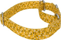 Country Brook Petz Spring Cottagecore Polyester Martingale Dog Collar, Yellow, Medium: 15 to 21-in neck, 1-in wide slide 2 of 5
