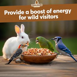 Trailmark Naturals Shelled Raw Peanuts Seed Wild Bird Food, 40-lb box slide 2 of 7