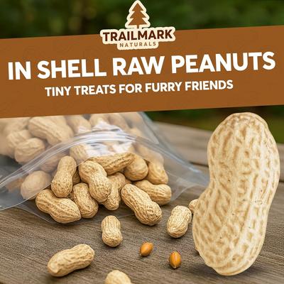 Show full view: Trailmark Naturals In Shell Raw Peanuts Bird Food, 25-lb box slide 3 of 6