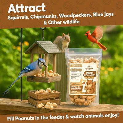 Show full view: Trailmark Naturals In Shell Raw Peanuts Bird Food, 25-lb box slide 4 of 6