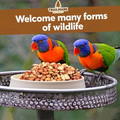 Trailmark Naturals Shelled Raw Peanuts Seed Wild Bird Food, 9-lb bag slide 2 of 7