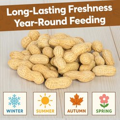 Trailmark Naturals In Shell Raw Peanuts Bird Food, 2-lb bag slide 2 of 7