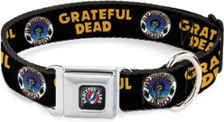 Buckle-Down Grateful Dead Text Skull & Roses Round Logo Metal Seatbelt Buckle Polyester Dog Collar, Black/Yellow, Small: 9.5 to 13-in neck, 1-in wide