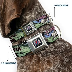 Buckle-Down Grateful Dead Dave'S Picks Volume Nine Montana Cover Art Metal Seatbelt Buckle Polyester Dog Collar, Multicolor, Large: 15 to 24-in neck, 1-in wide slide 2 of 8