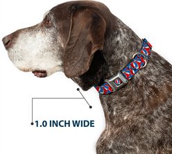 Buckle-Down Grateful Dead Steal Your Face Logo Stacked Metal Seatbelt Buckle Polyester Dog Collar, Red/White/Blue, Medium: 11 to 16.5-in neck, 1-in wide slide 2 of 8