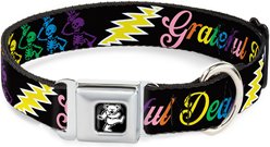 Buckle-Down Grateful Dead Script Bears Skeletons Black Metal Seatbelt Buckle Polyester Dog Collar, Multicolor, Large: 15 to 24-in neck, 1-in wide