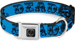 Buckle-Down Grateful Dead Text Skull Roses Turquoise Metal Seatbelt Buckle Polyester Dog Collar, Blue, Small: 13 to 17-in neck, 1.5-in wide