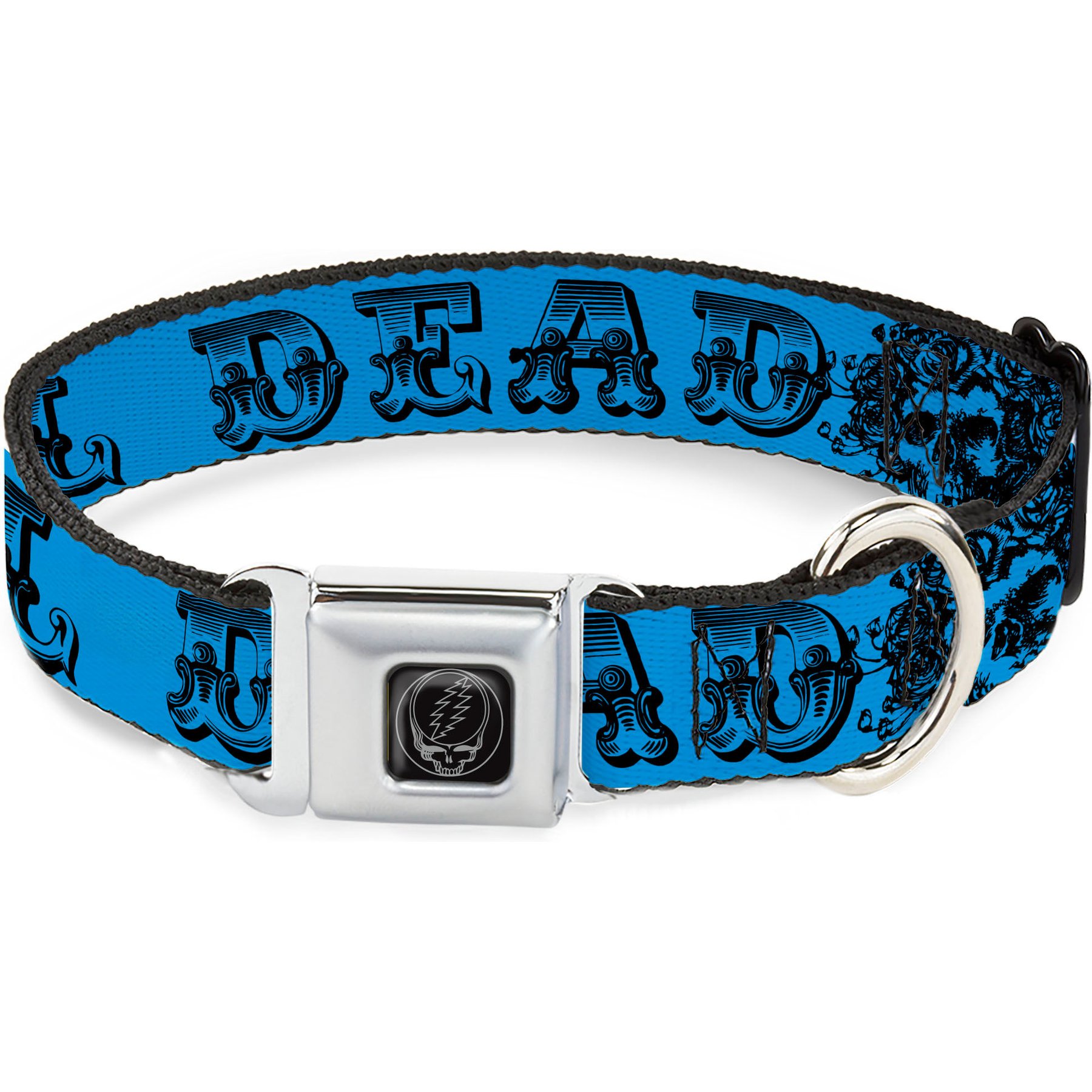 Buckle-Down Grateful Dead Text Skull Roses Turquoise Metal Seatbelt Buckle Polyester Dog Collar, Blue, Small: 9.5 to 13-in neck, 1-in wide