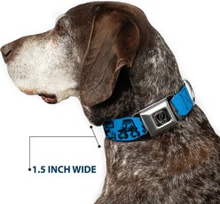 Buckle-Down Grateful Dead Text Skull Roses Turquoise Metal Seatbelt Buckle Polyester Dog Collar, Blue, Small: 13 to 17-in neck, 1.5-in wide slide 2 of 8